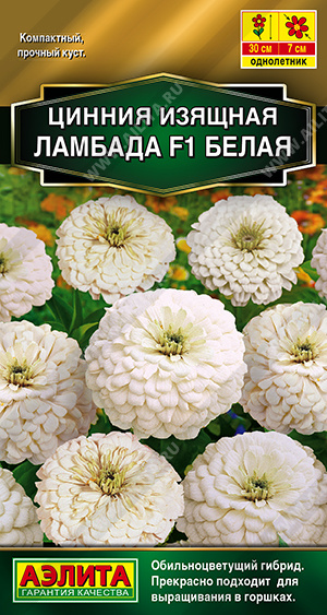 8fab96f8_5f28_11ec_8101_0cc47adb9c64_3cc7582e_2d5d_11ef_8129_0cc47adb9c64