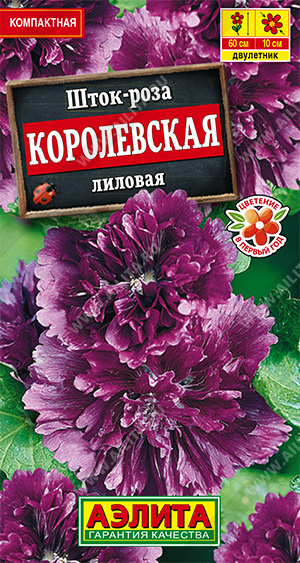 208782d8_0b41_11ee_811e_0cc47adb9c64_2eff30ae_6ab4_11ef_812c_0cc47adb9c64