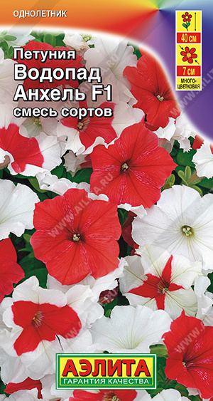 0893f5ea_8048_11ed_8110_0cc47adb9c64_9f96ec51_9bbc_11ed_8114_0cc47adb9c64