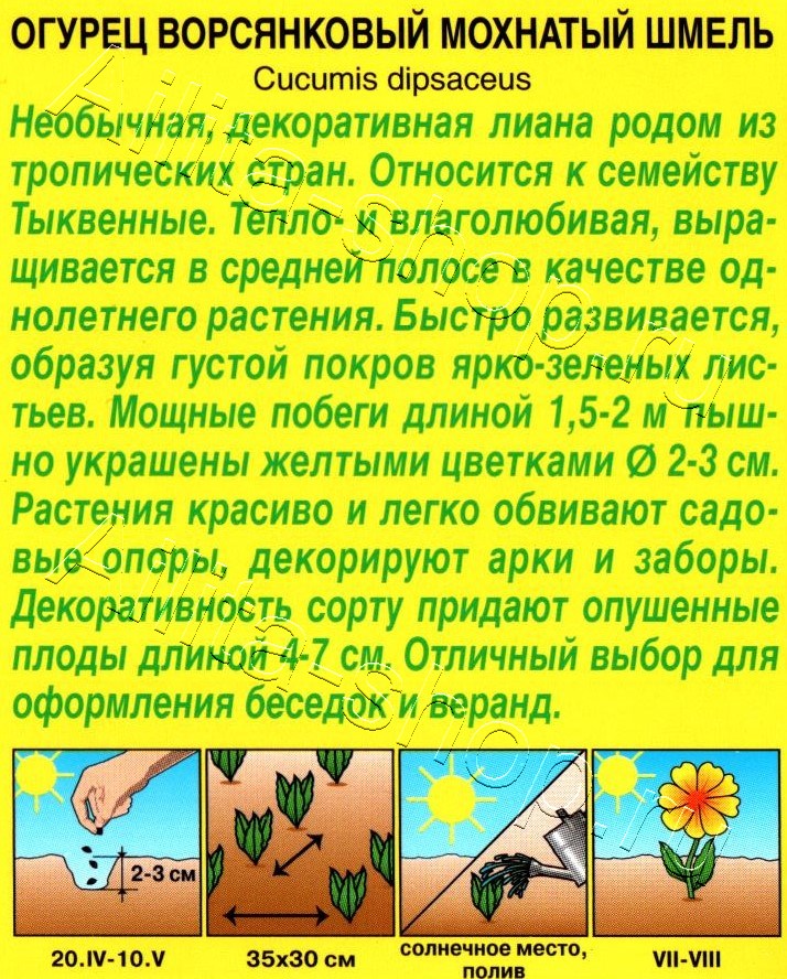 dpyw9f01qwv6c6r9zjv6ztz1d07uhc5g