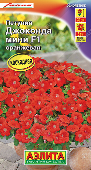 8c621d9e_0687_11ee_811e_0cc47adb9c64_8683b1bd_e51f_11ee_8123_0cc47adb9c64