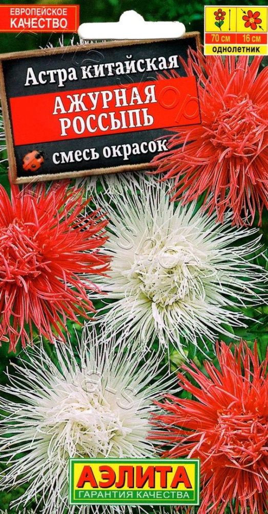 17150a8de5e2f313e0d76ab73f87afbb