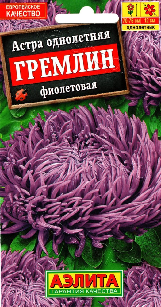 a568ca4424eabb0b5a2a7c6834f4f2e4