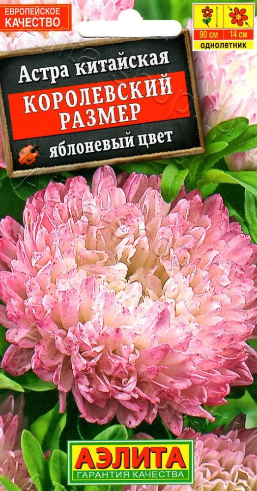 e189ba2a25a90599ddf75dea8ed08495