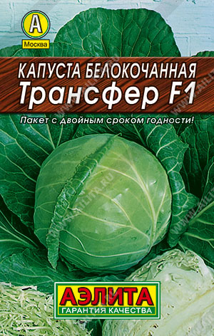 e379dce1_e65f_11ec_810b_0cc47adb9c64_2c3be5e6_1173_11ed_810c_0cc47adb9c64