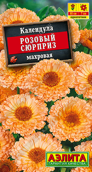 5c0aaeb2_17c3_11ed_810c_0cc47adb9c64_21b1e92f_27e3_11ef_8128_0cc47adb9c64