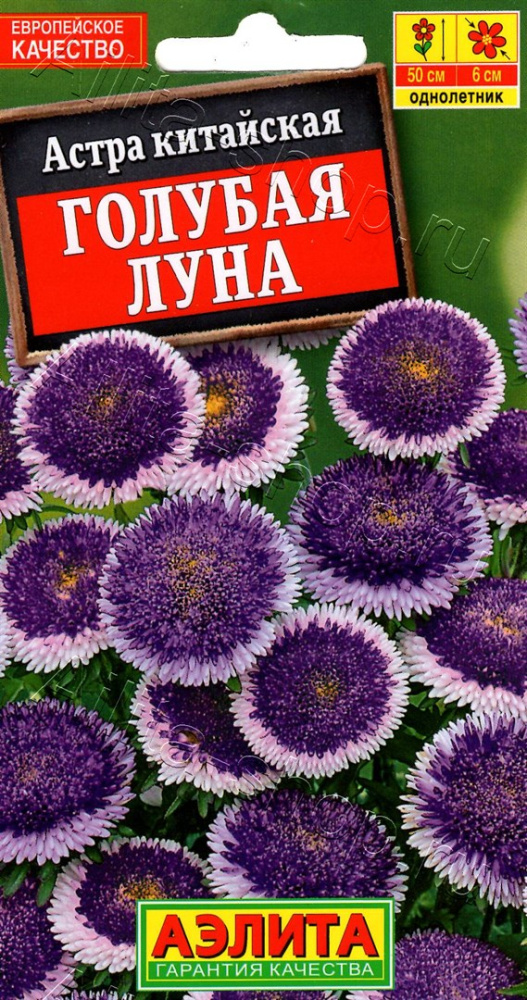 0ajmr8fj2zt8hv5m3jzj22aimmzi3x53
