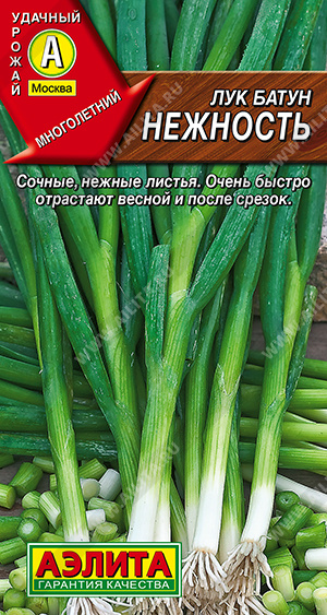 f2a78680_a77f_11ed_8114_0cc47adb9c64_95457940_8491_11ef_812d_0cc47adb9c64