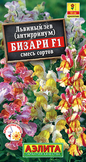 84f7062a_d9c9_11e7_9433_e4115badda84_3d30ee5d_e060_11ee_8123_0cc47adb9c64