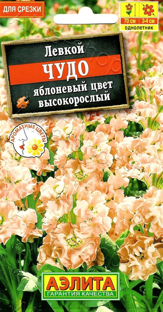 4c3ec1772b89794c4533d5eae35b22b0