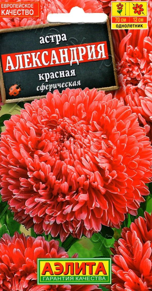 6218461eb229b72f4c7267ad511c03ca