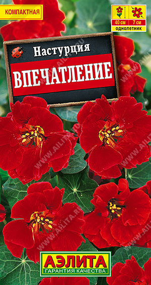 e6bbcc76_471e_11ea_80e9_0cc47adb9c64_36fbca1b_3231_11ef_812a_0cc47adb9c64