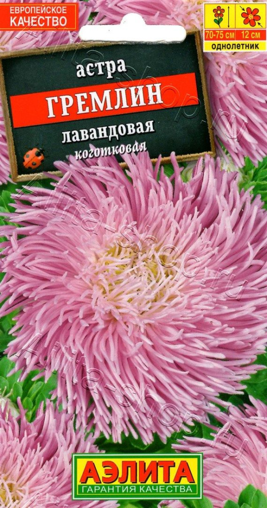 b94ee516814dfb1a262431cd107d3534